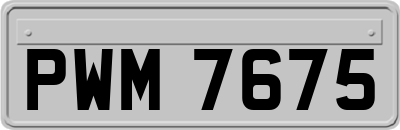 PWM7675