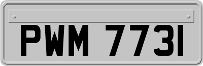 PWM7731