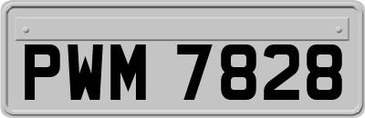 PWM7828