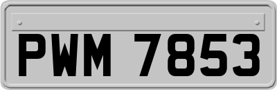 PWM7853