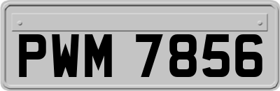 PWM7856