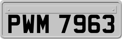 PWM7963