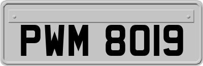 PWM8019