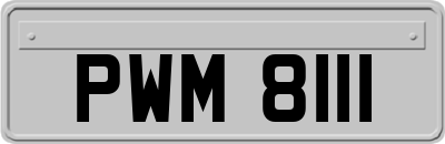 PWM8111