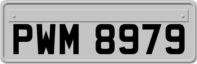 PWM8979