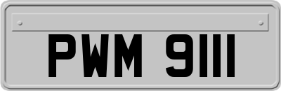 PWM9111