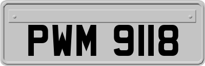 PWM9118