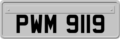 PWM9119