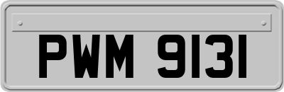 PWM9131