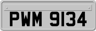 PWM9134