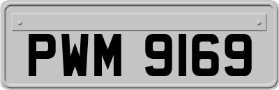 PWM9169