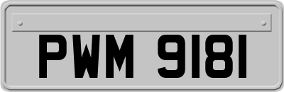 PWM9181