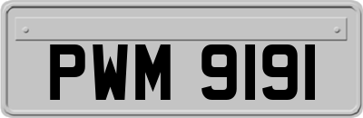 PWM9191