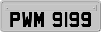 PWM9199