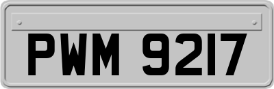 PWM9217