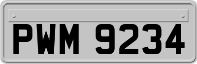 PWM9234