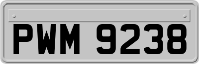 PWM9238