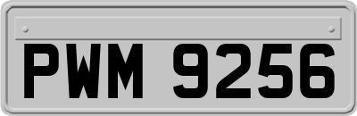 PWM9256