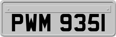 PWM9351