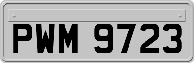 PWM9723