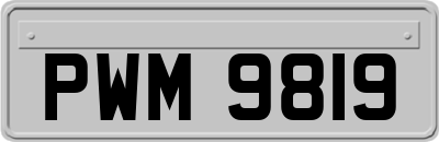 PWM9819