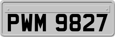 PWM9827