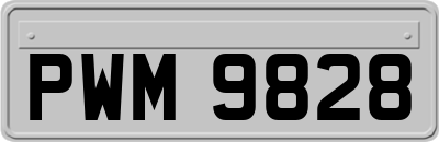 PWM9828