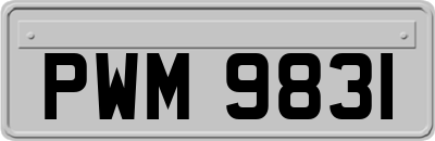 PWM9831