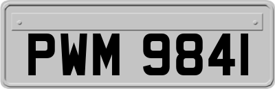 PWM9841