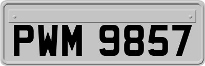 PWM9857