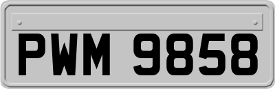 PWM9858