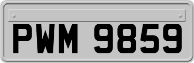 PWM9859