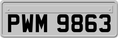 PWM9863