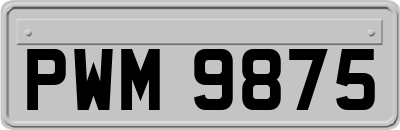 PWM9875