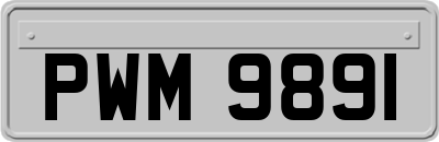 PWM9891