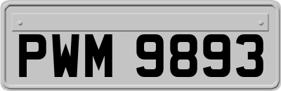 PWM9893