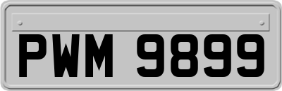 PWM9899