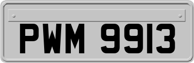 PWM9913