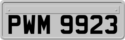 PWM9923