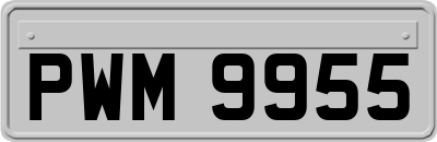 PWM9955