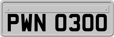 PWN0300