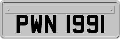 PWN1991