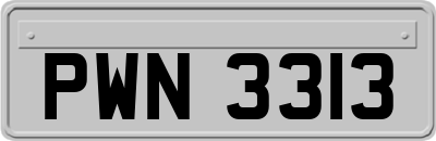 PWN3313