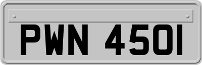 PWN4501