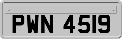 PWN4519