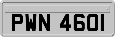 PWN4601