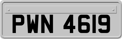 PWN4619