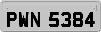 PWN5384