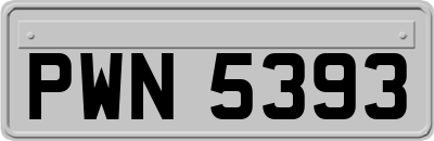 PWN5393