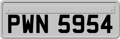 PWN5954